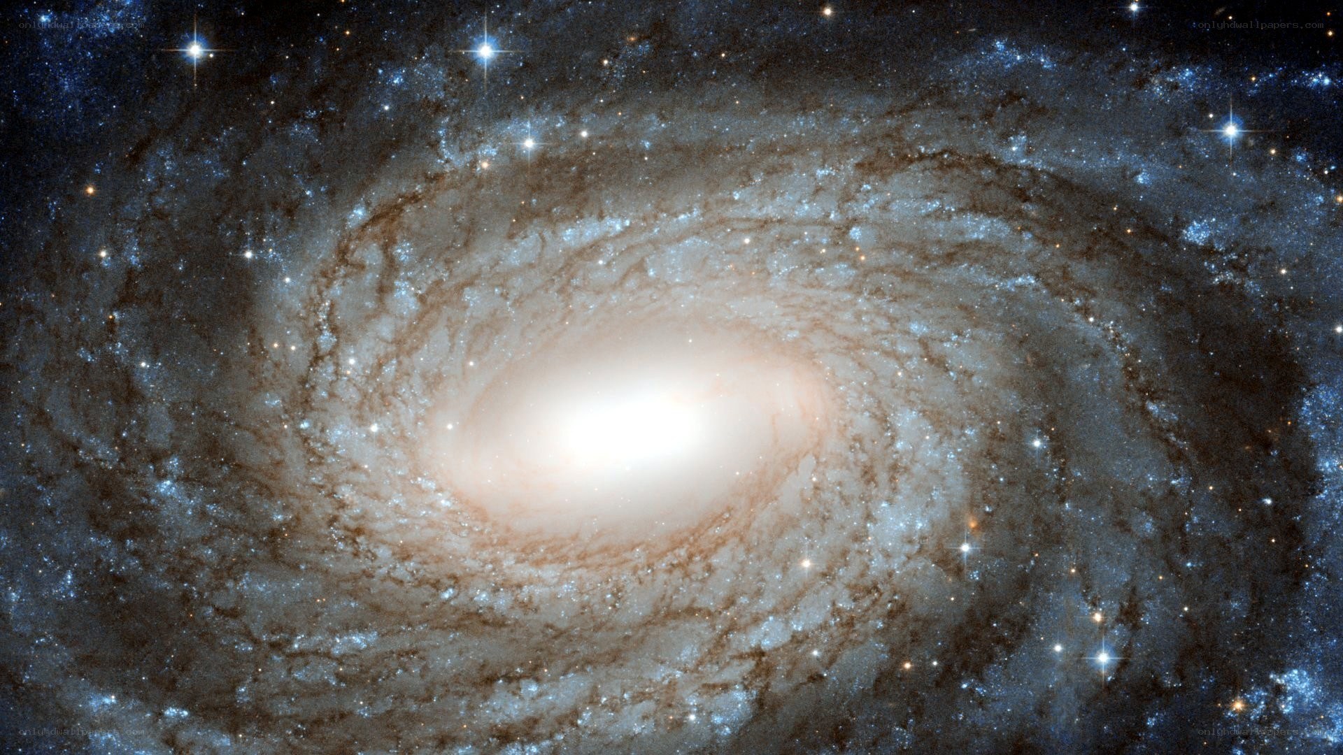 Spiral galaxy in deep space