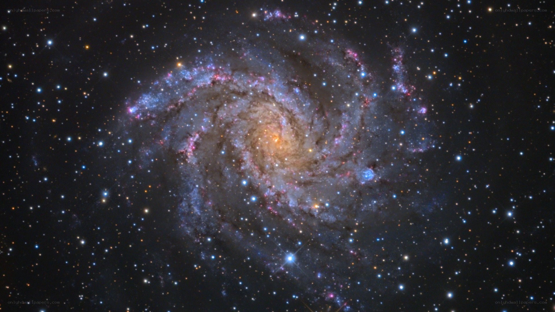Spiral galaxy in deep space