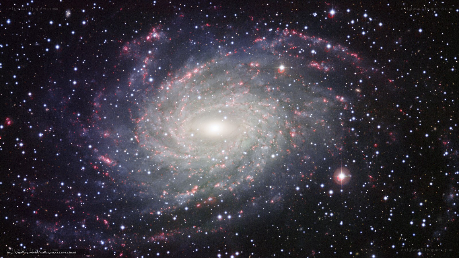 Spiral galaxy in deep space