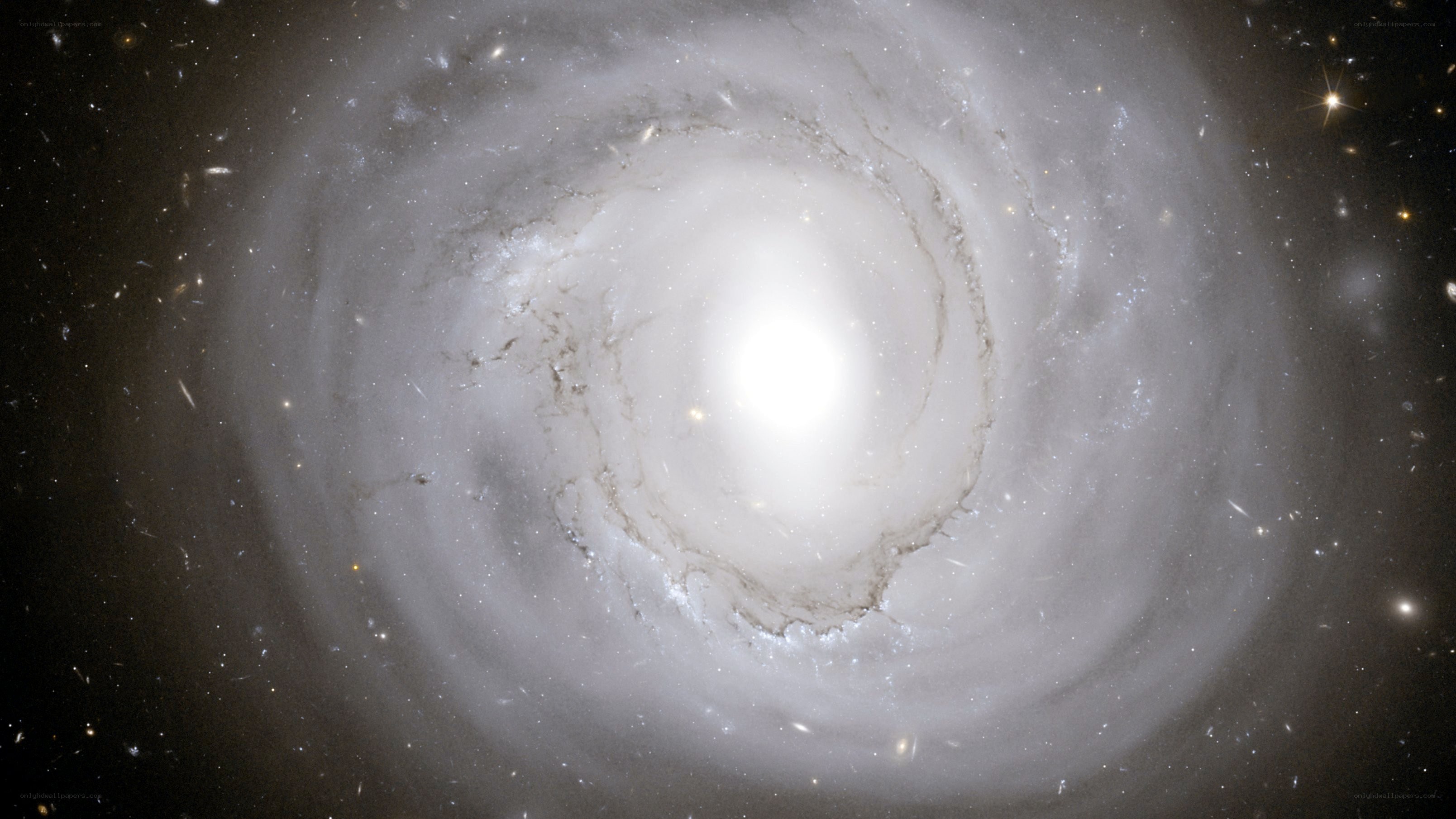 Spiral galaxy in deep space