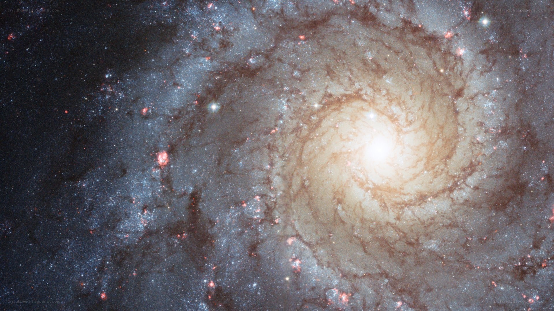 spiral galaxy in deep space