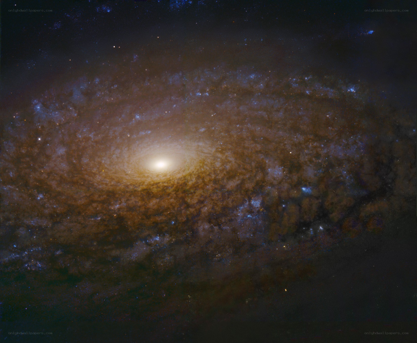 Spiral galaxy in deep space