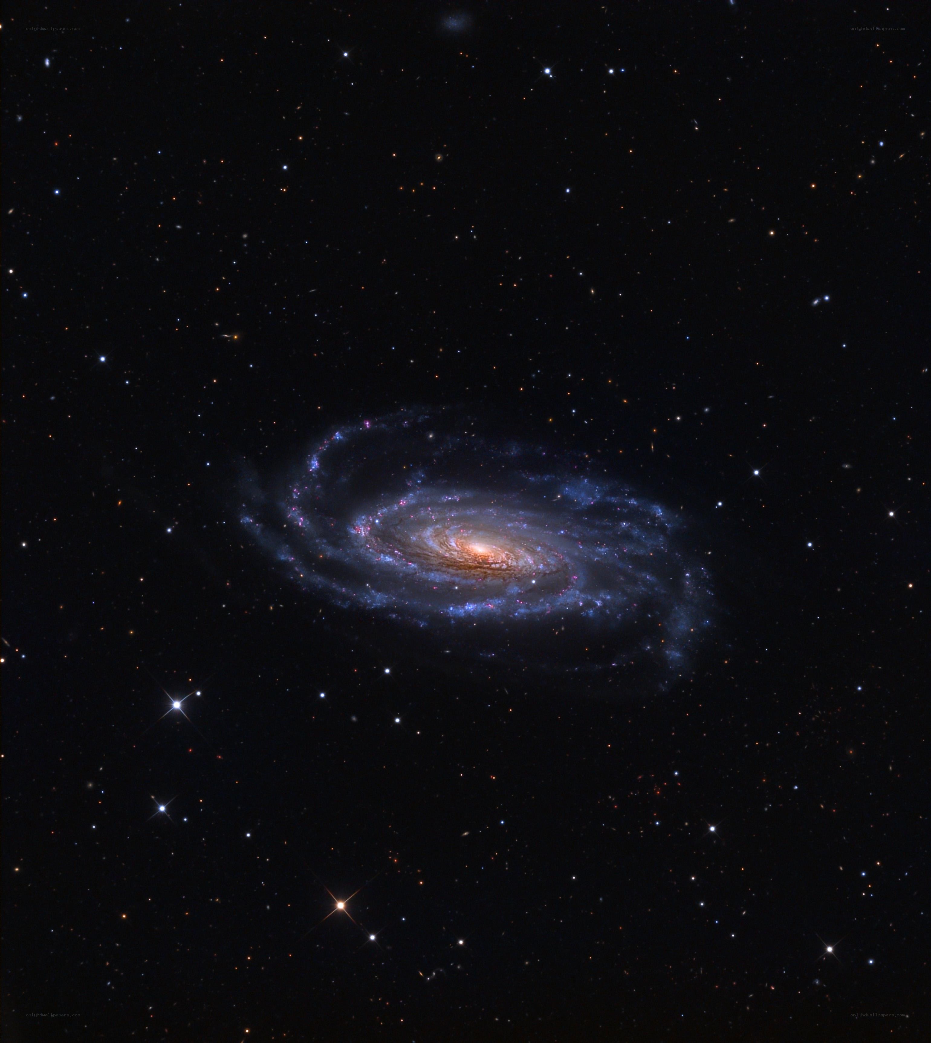 Spiral galaxy in deep space
