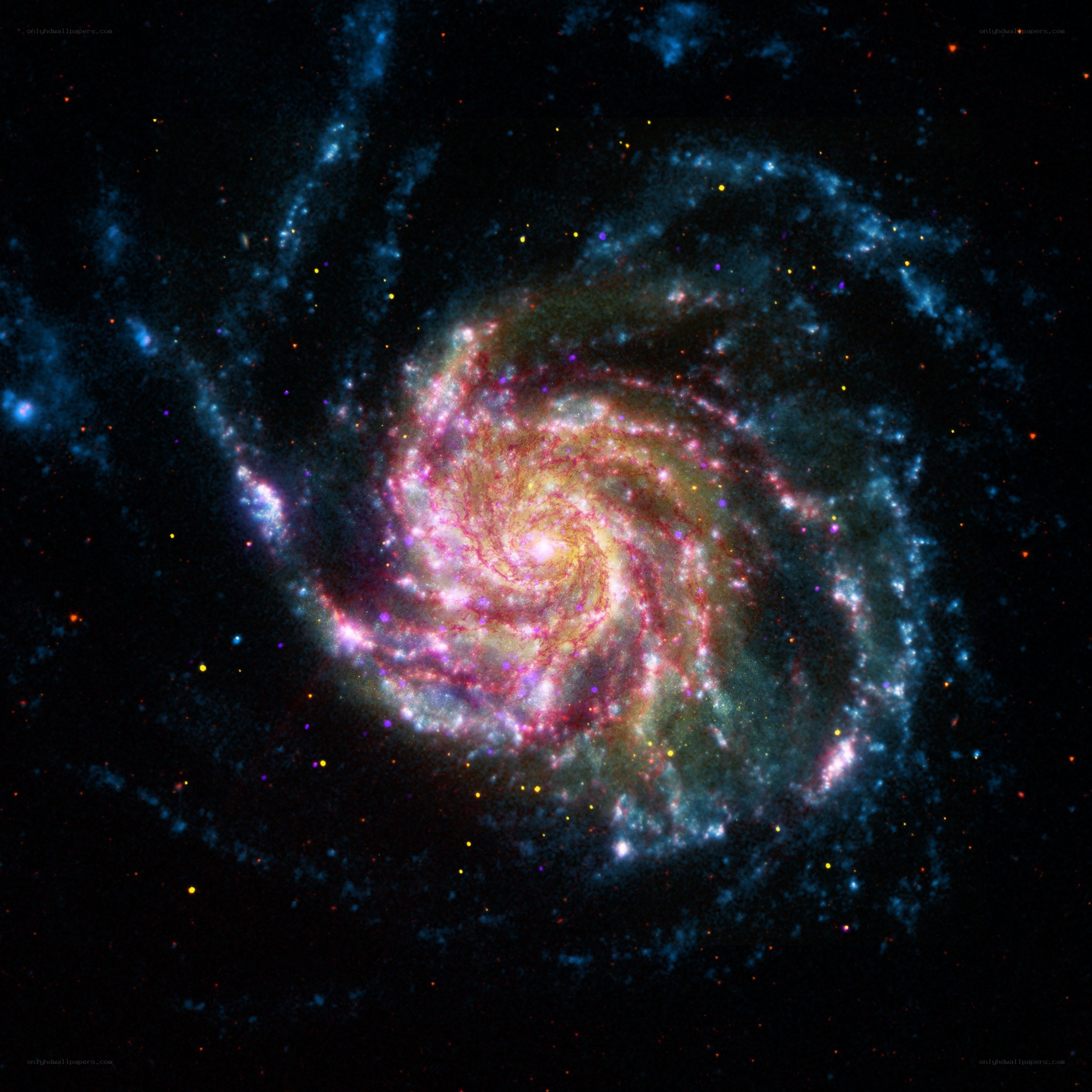 Spiral galaxy in deep space