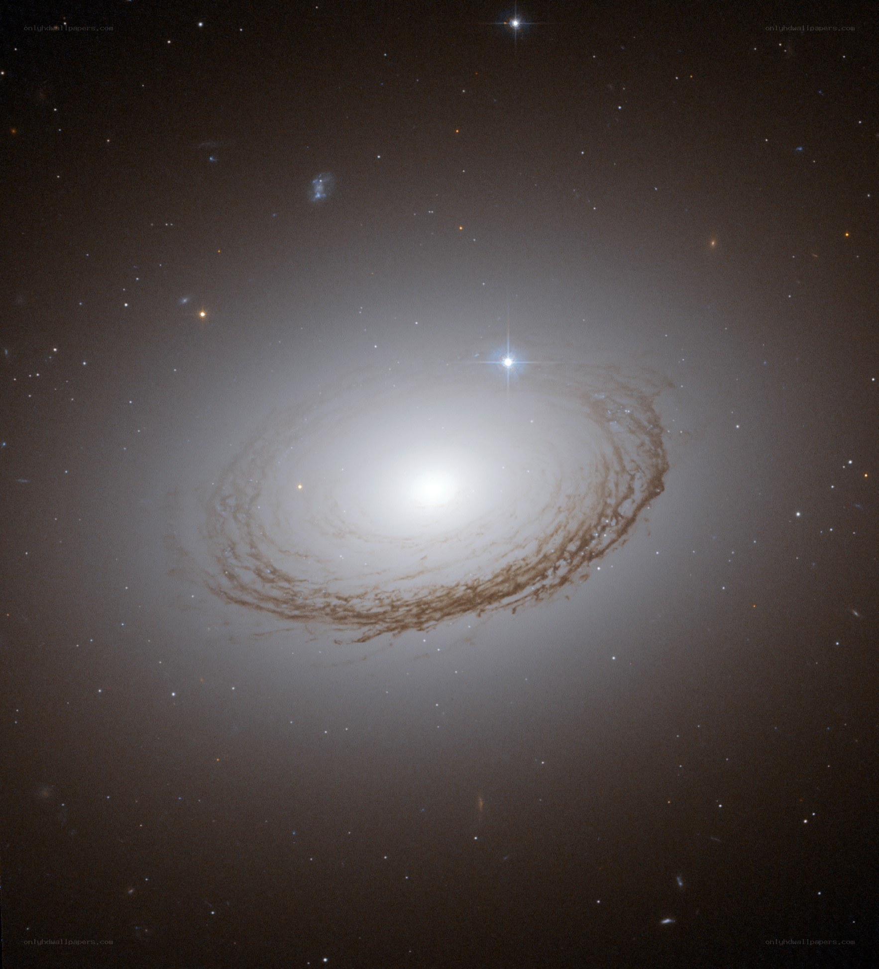 Spiral galaxy in deep space