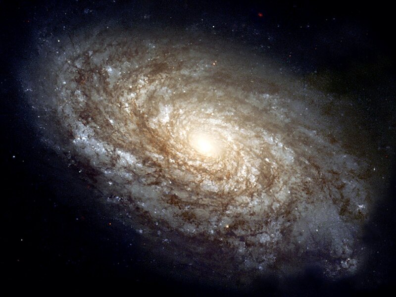 Spiral galaxy in deep space