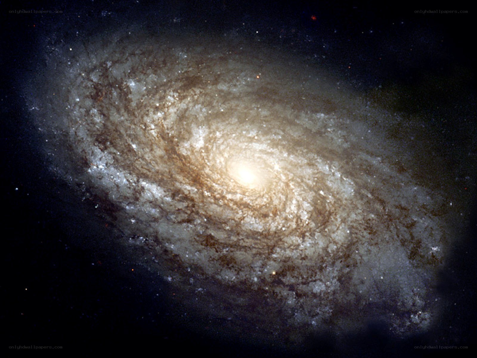 Spiral galaxy in deep space