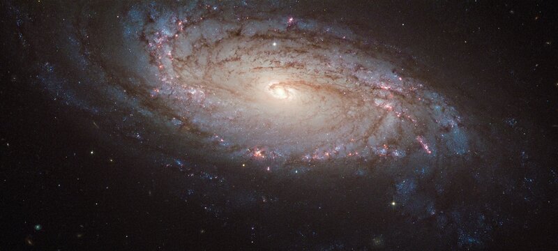 Spiral galaxy in deep space