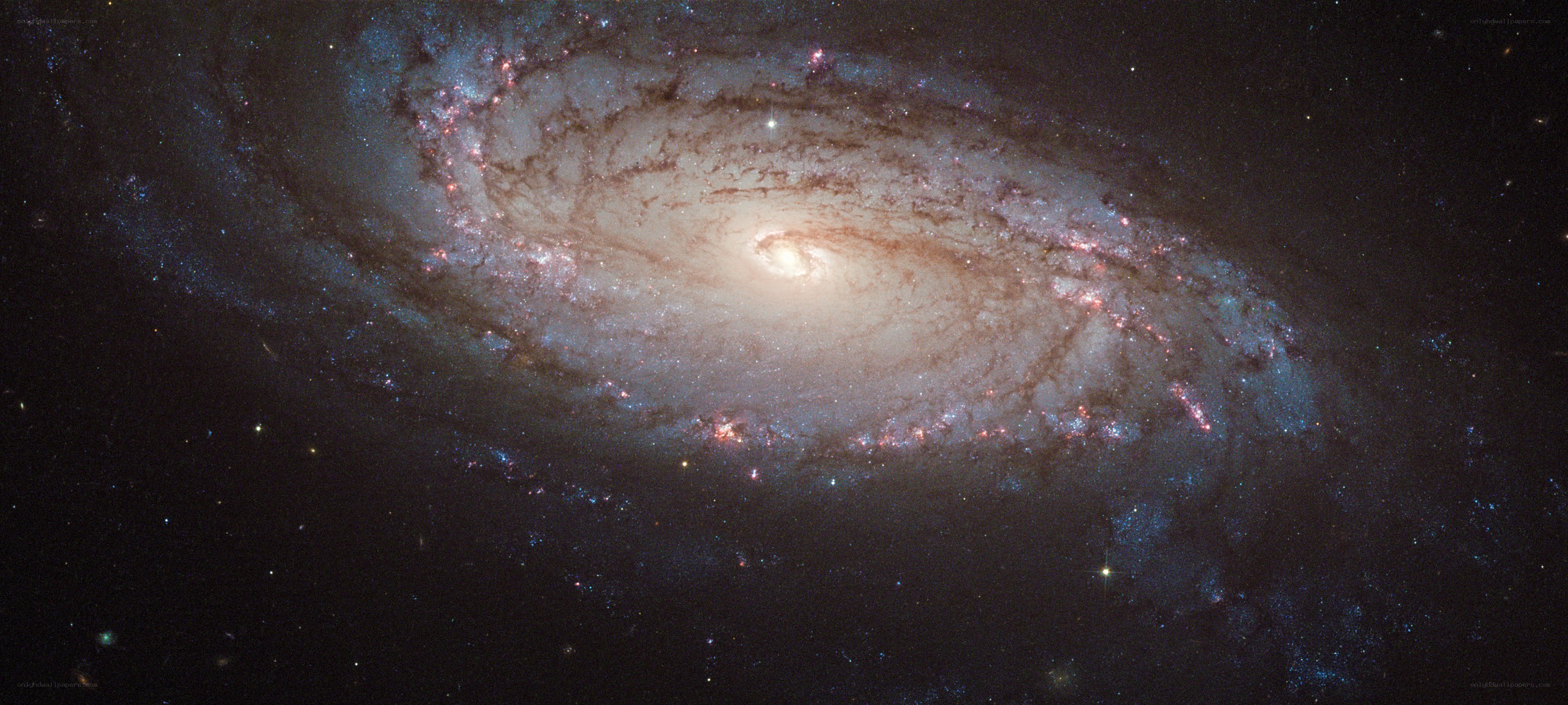 Spiral galaxy in deep space