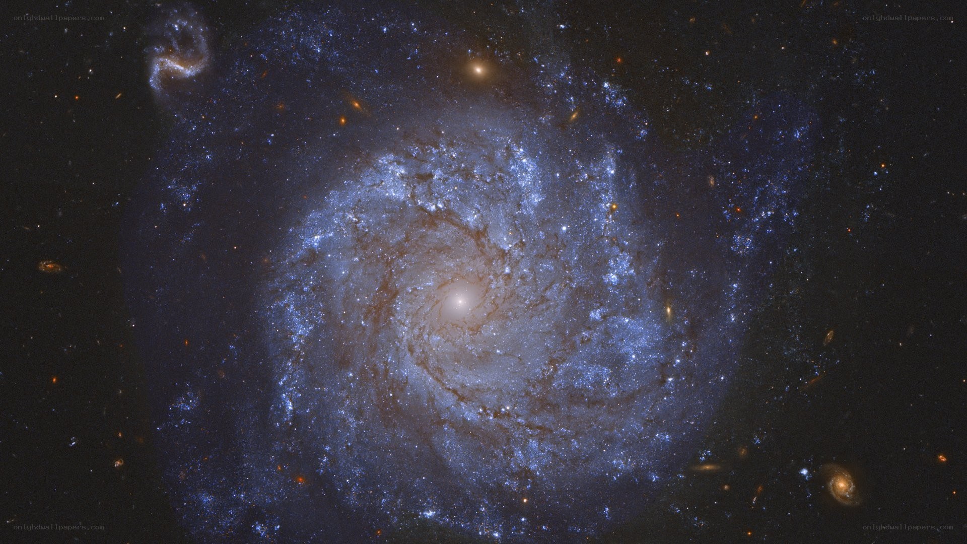 Spiral galaxy in deep space