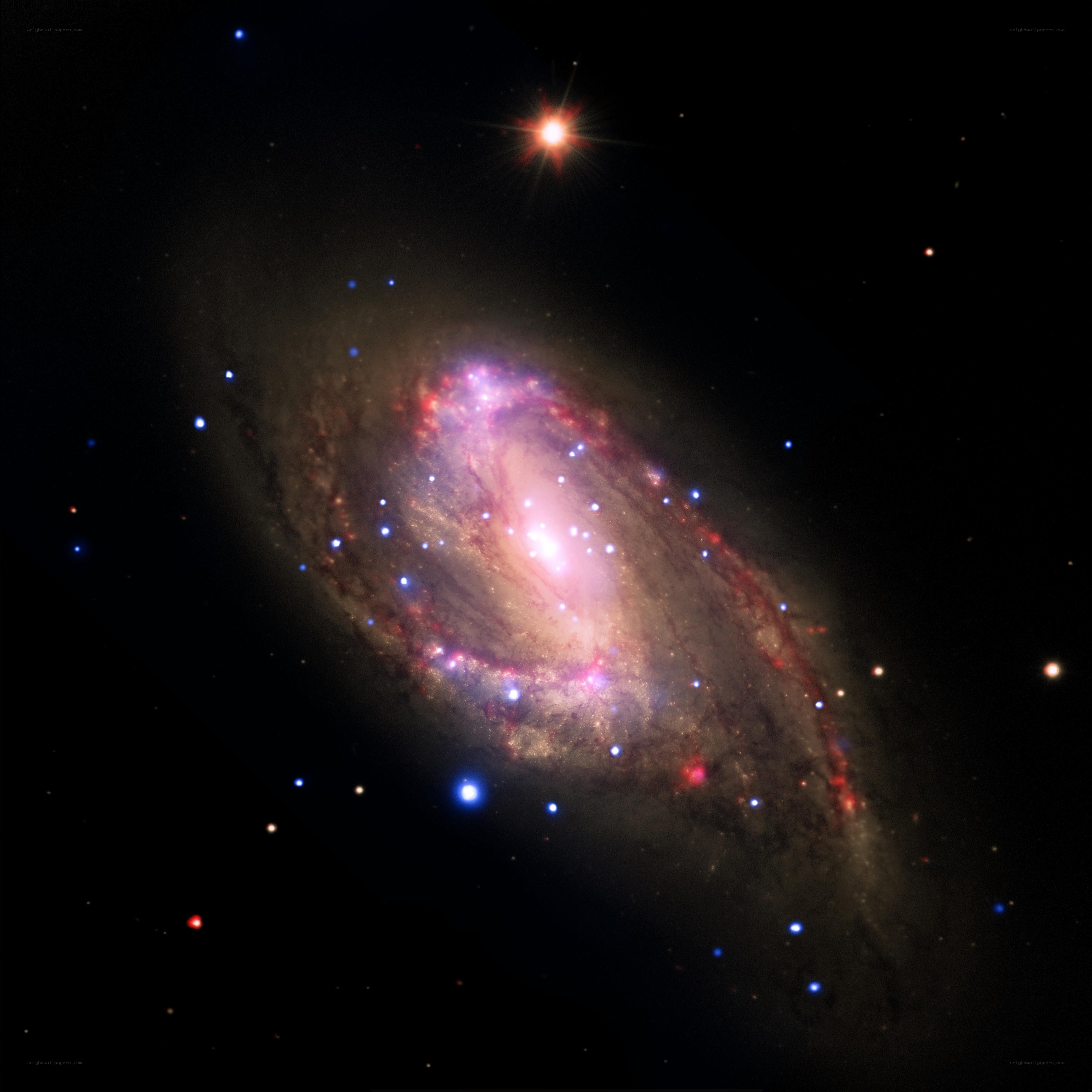 Spiral galaxy in deep space