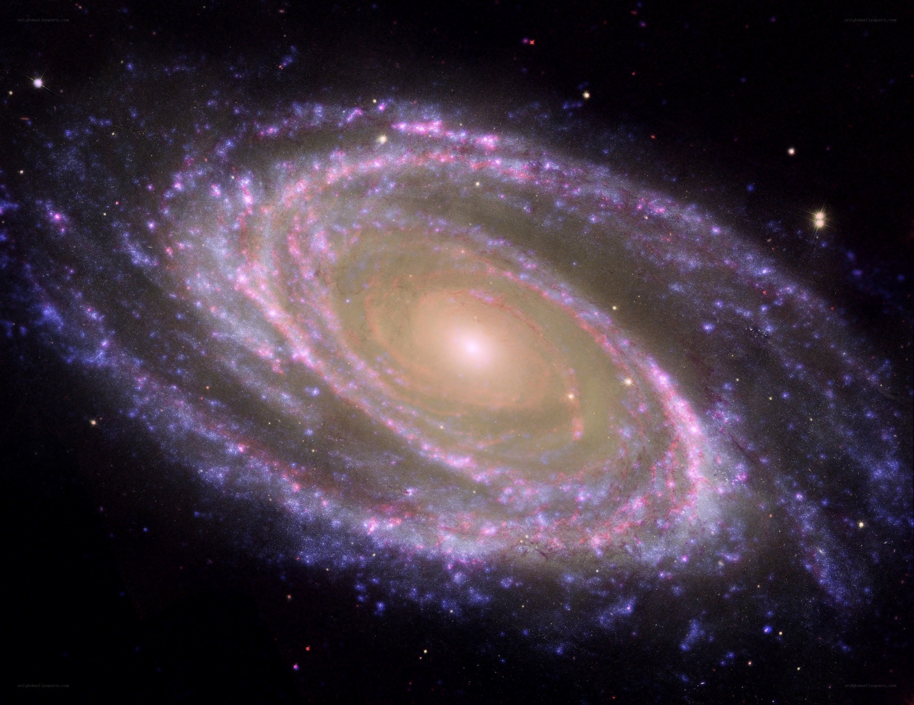 Spiral galaxy in deep space