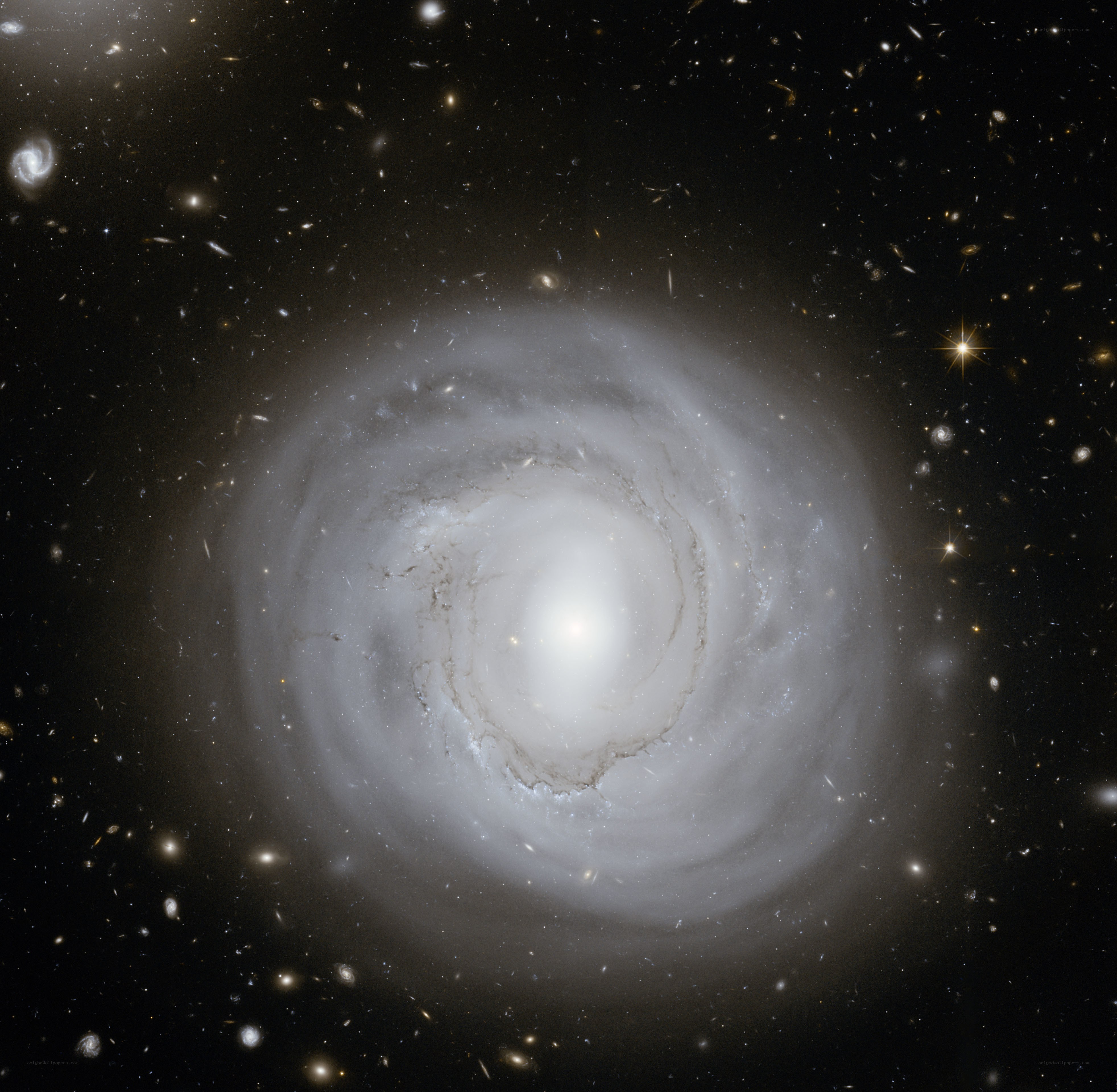 Spiral galaxy in deep space