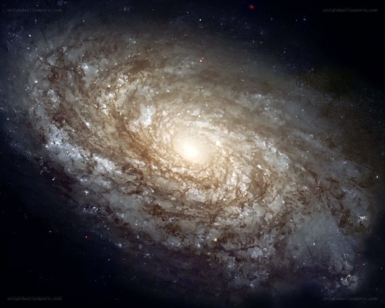 Spiral galaxy in deep space