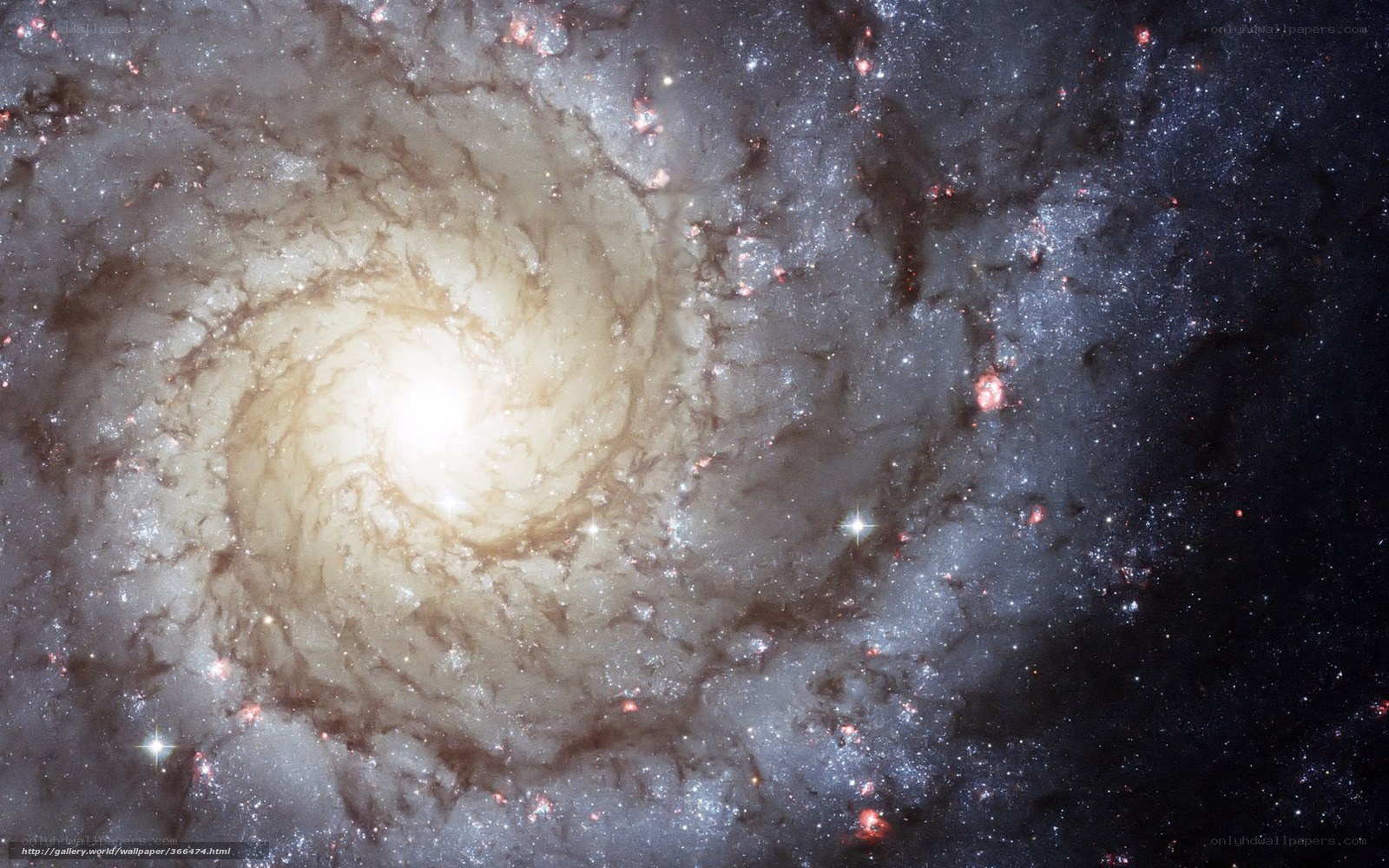 Spiral galaxy in deep space