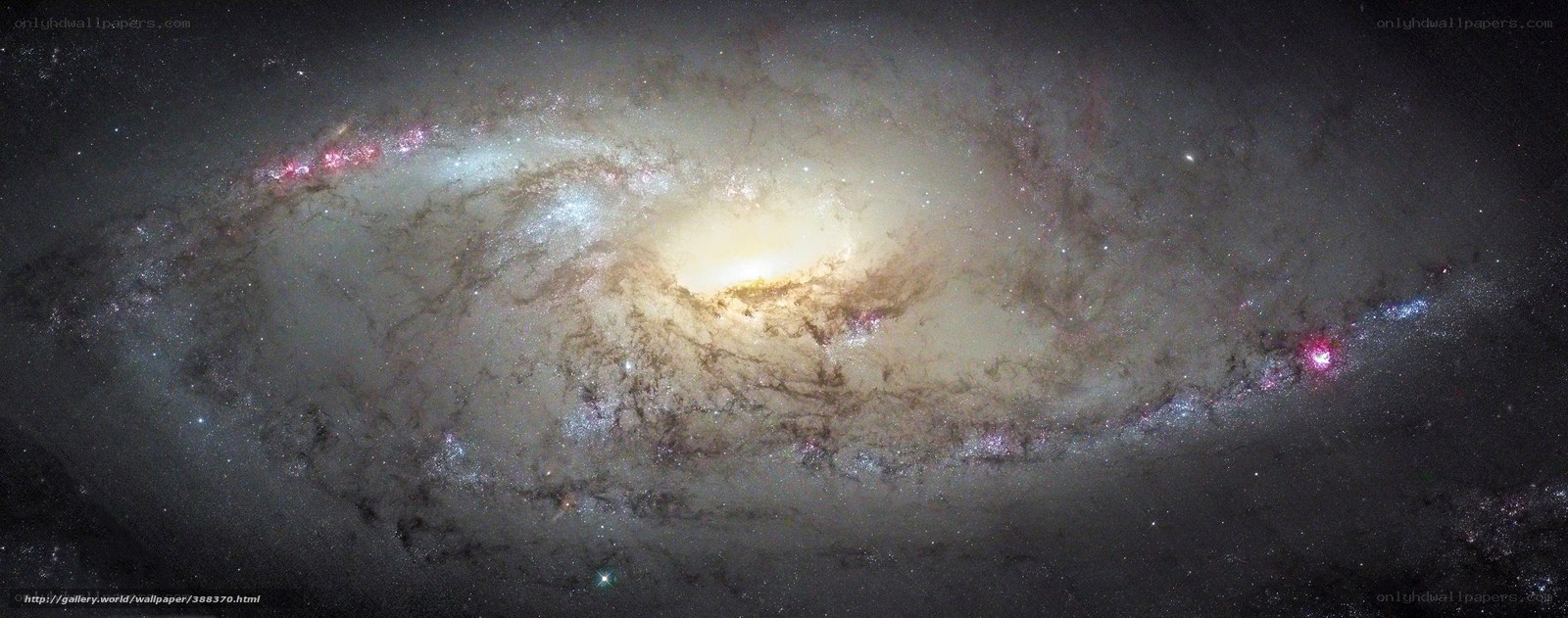Spiral galaxy in deep space