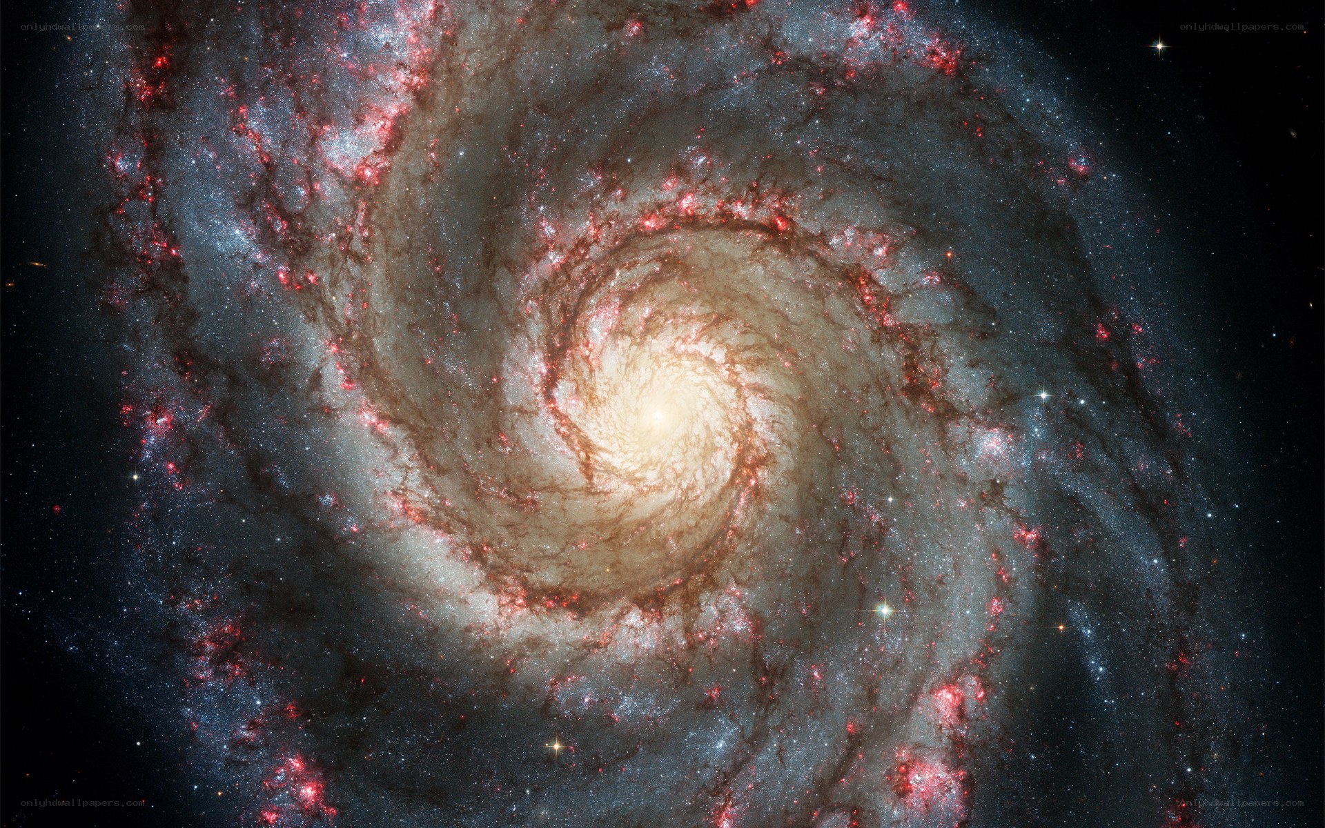 Spiral galaxy in deep space
