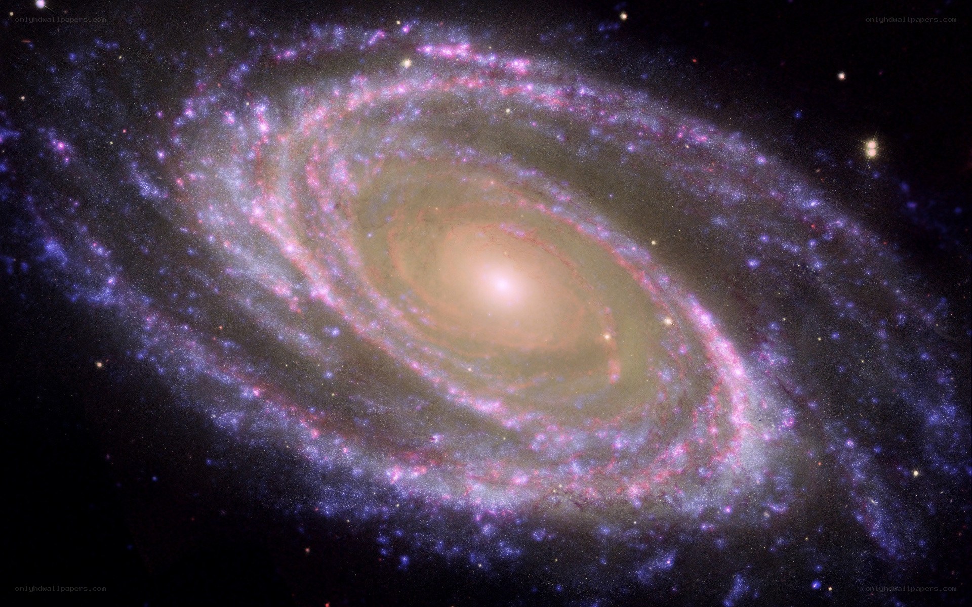 Spiral galaxy in deep space
