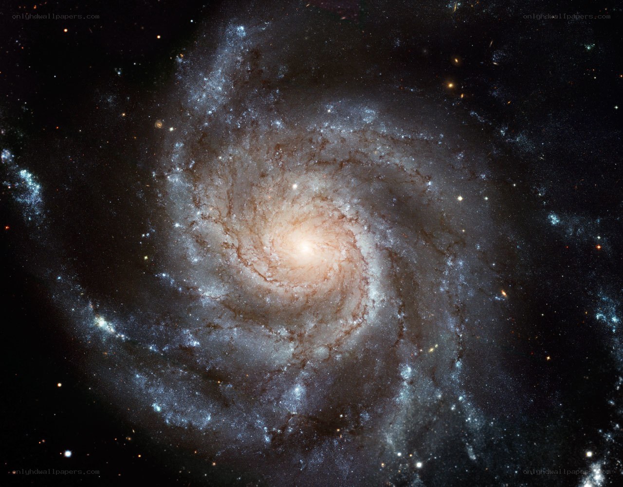 Spiral galaxy in deep space