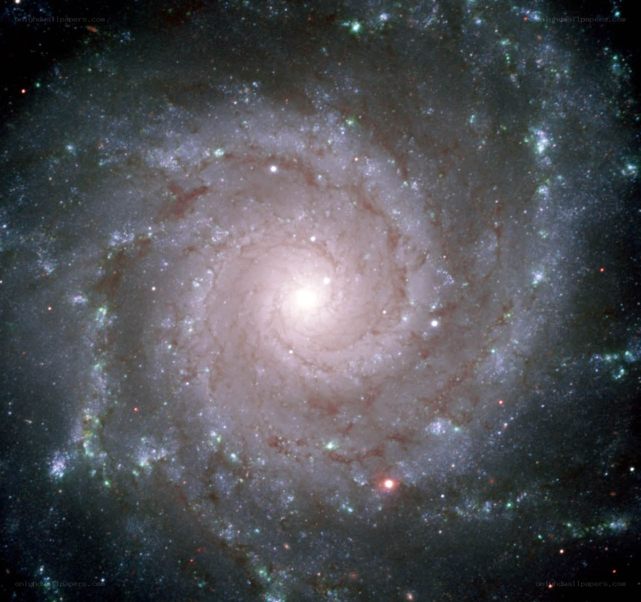 Spiral galaxy in deep space