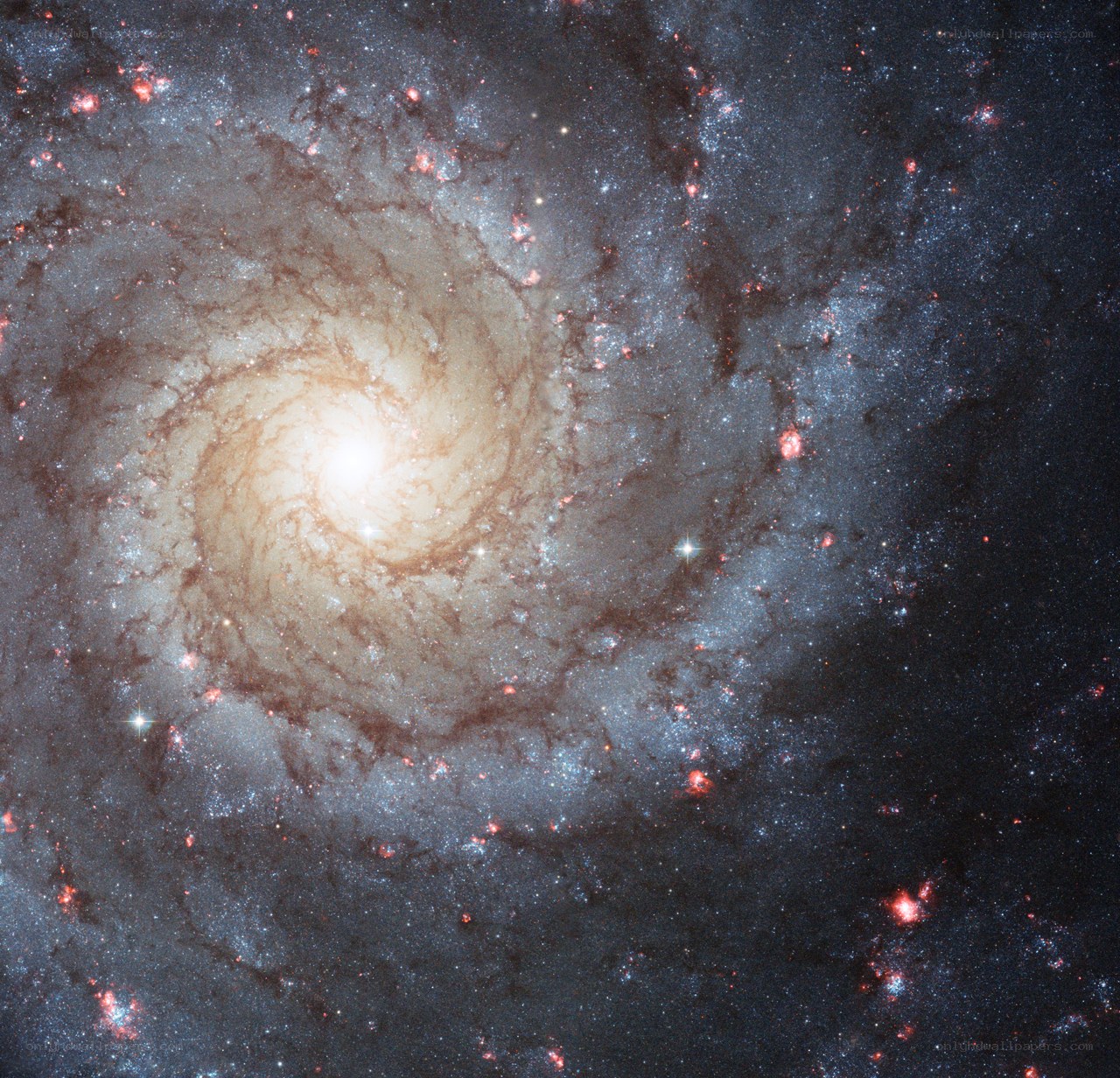 Spiral galaxy in deep space