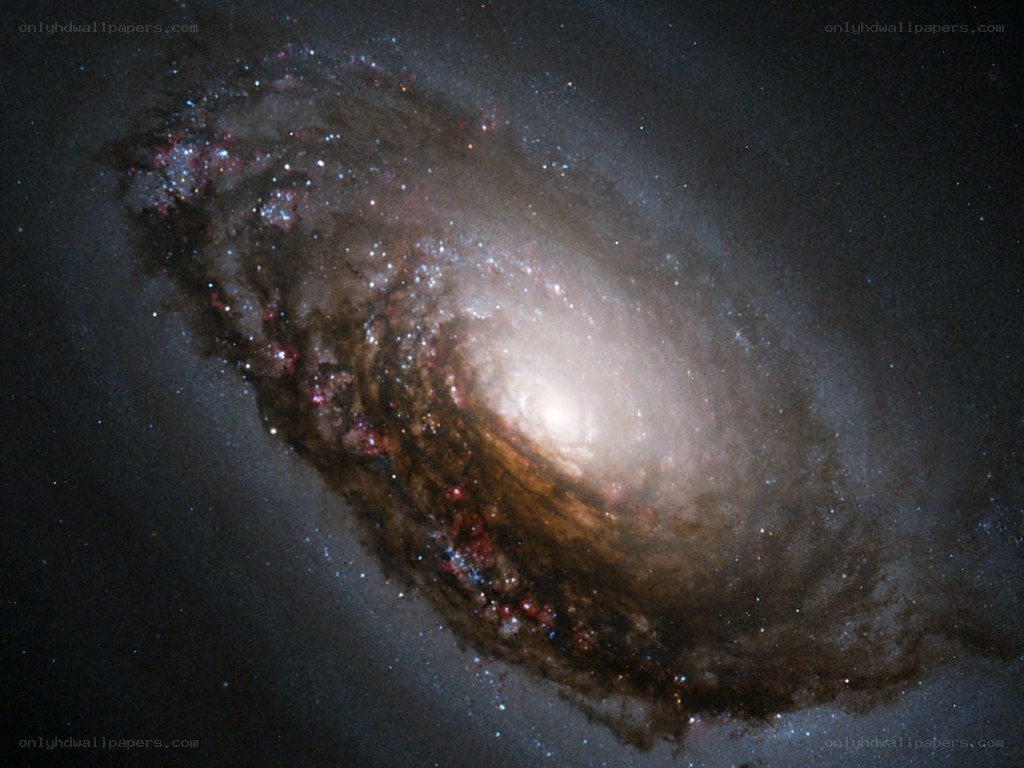 Spiral galaxy in deep space