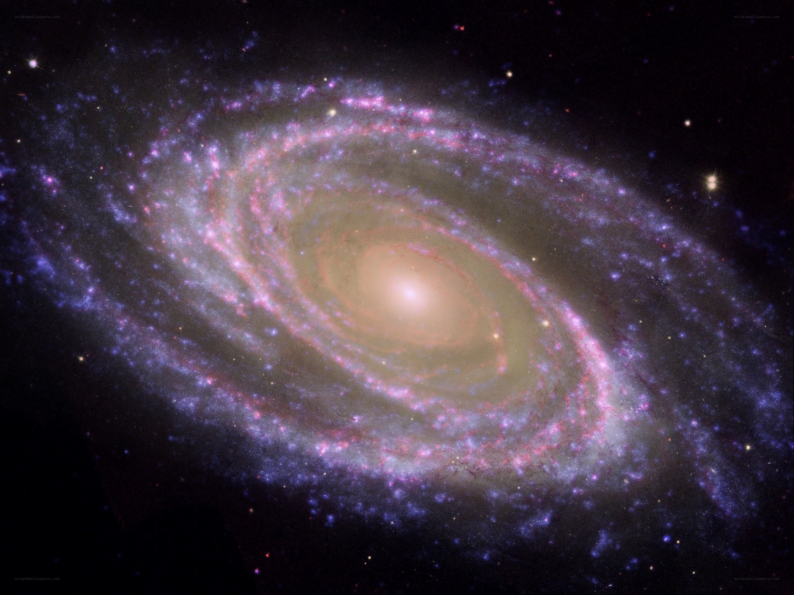 Spiral galaxy in deep space