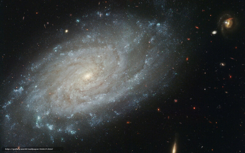 Spiral galaxy in deep space