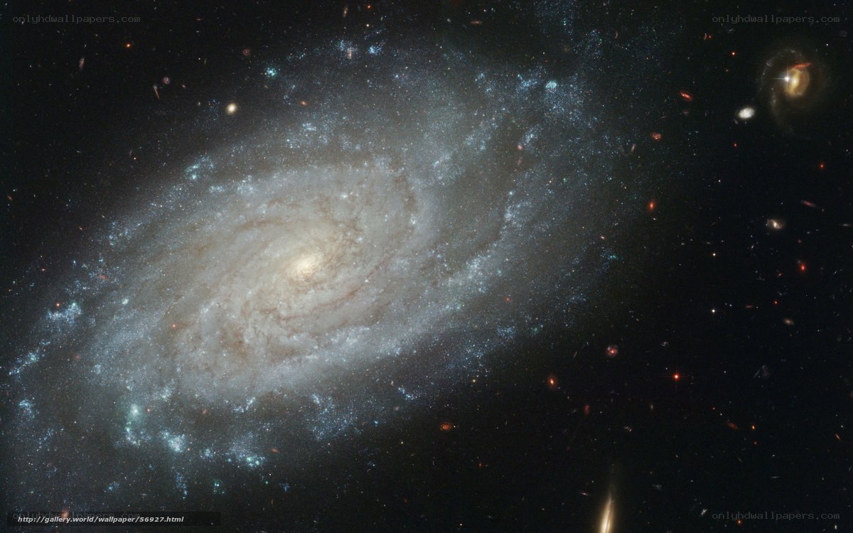 Spiral galaxy in deep space