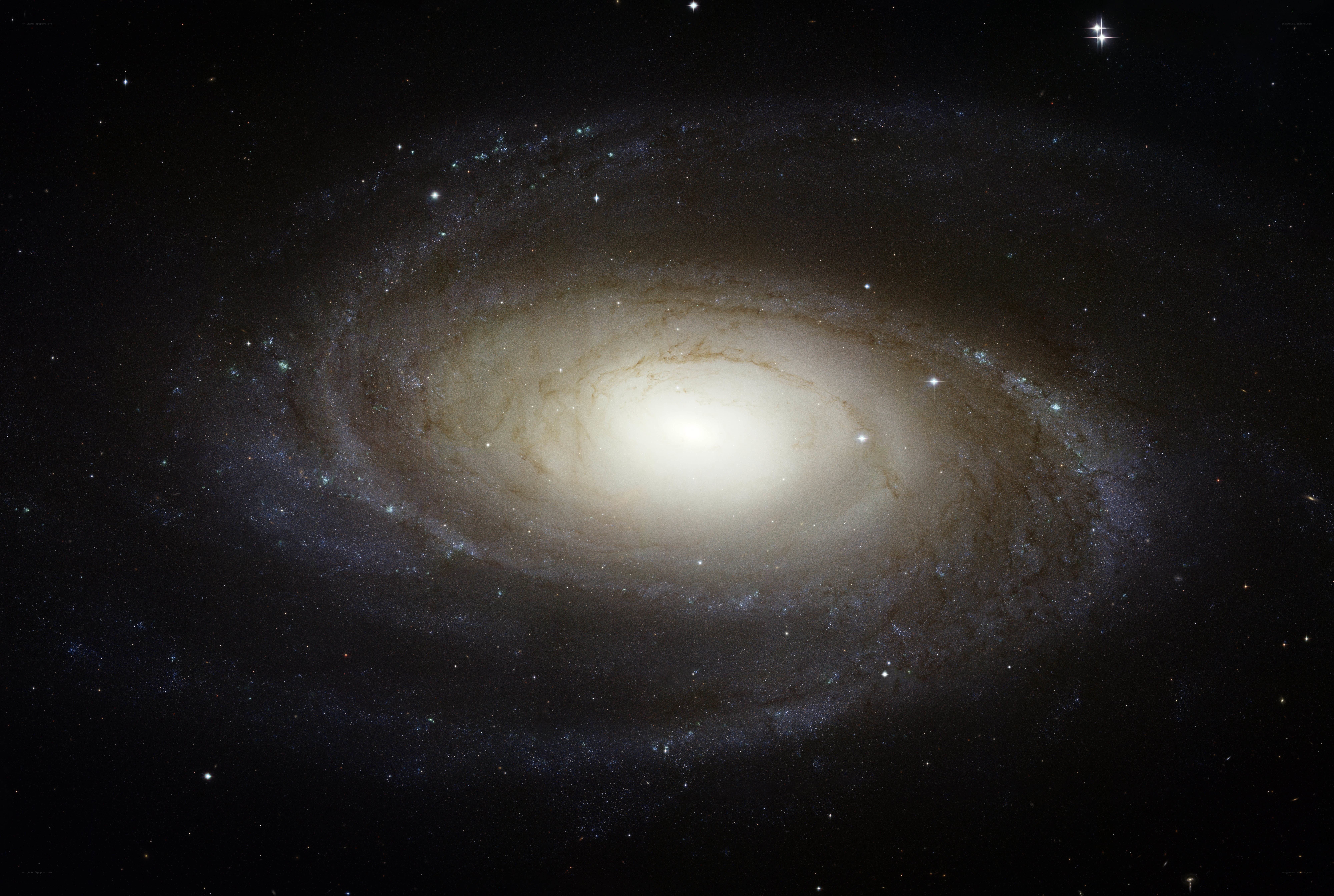 Spiral galaxy in deep space