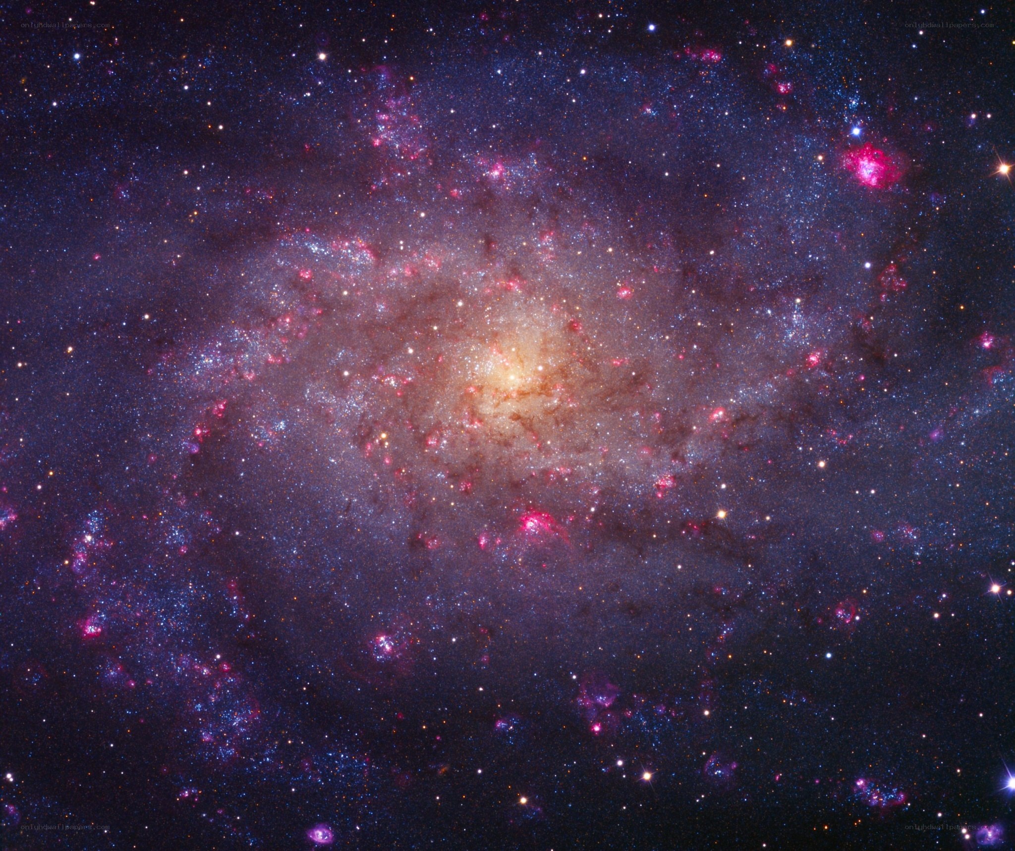 Spiral galaxy in deep space