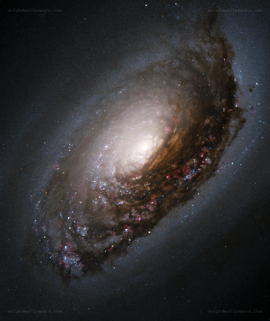 Spiral galaxy in deep space