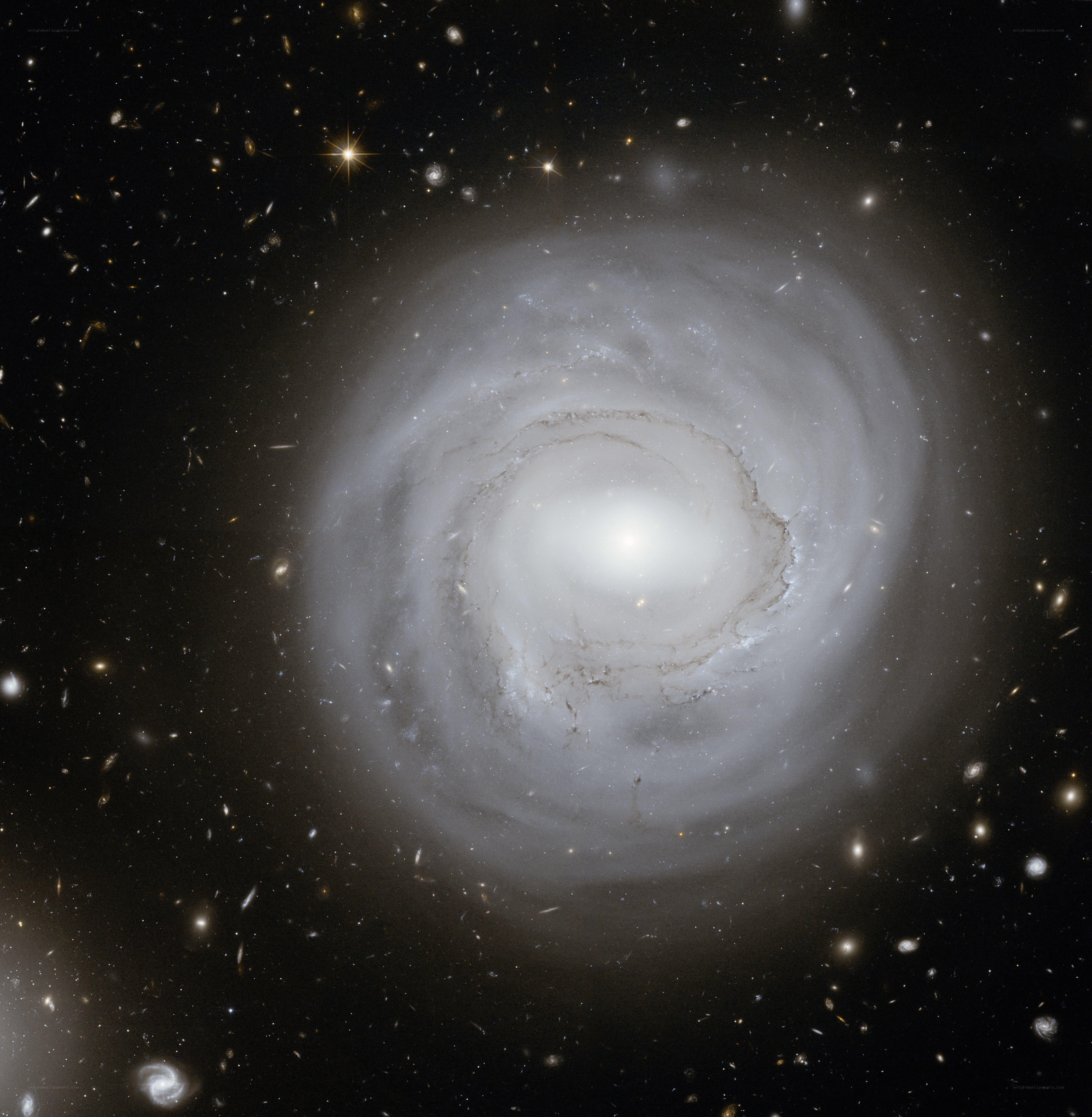 Spiral galaxy in deep space