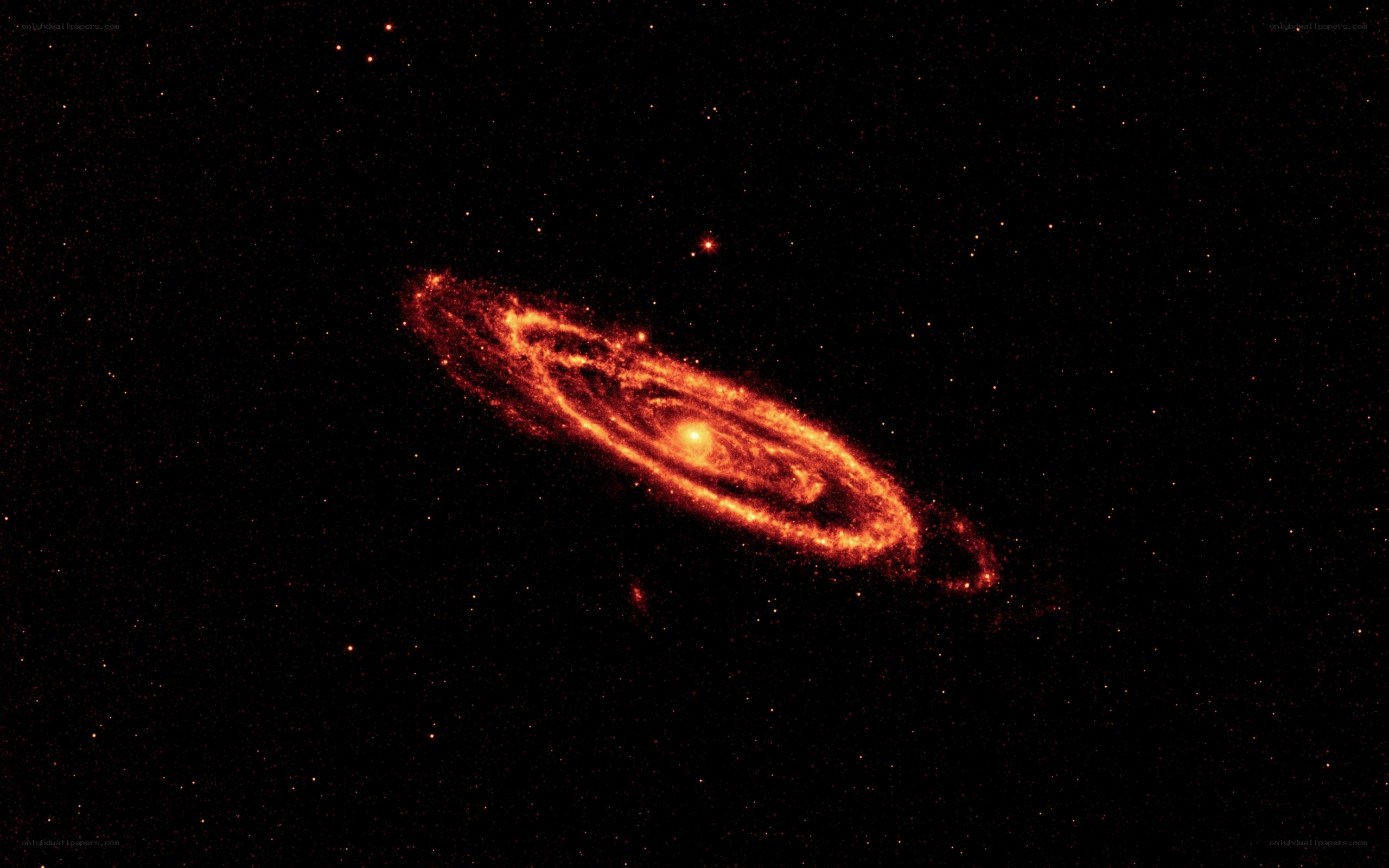 Spiral galaxy in space