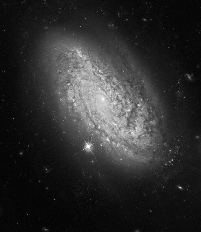 Spiral Galaxy in Space — Black, Cosmic, Photograph, Stars, Dust, White
