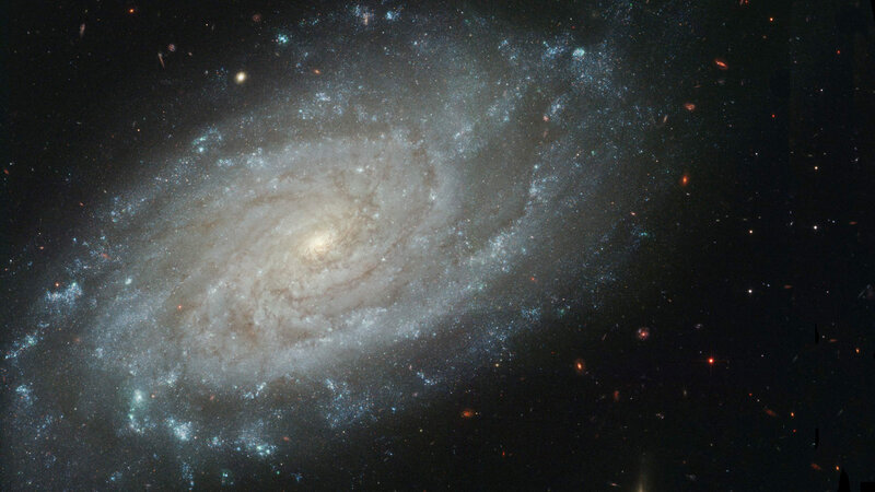 Spiral Galaxy in Space — Black, Cosmic, Photograph, Stars, Nebulae, White