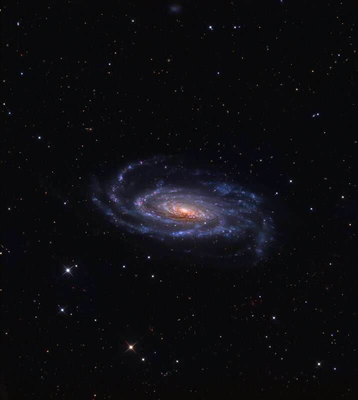 Spiral Galaxy in Space — Portrait