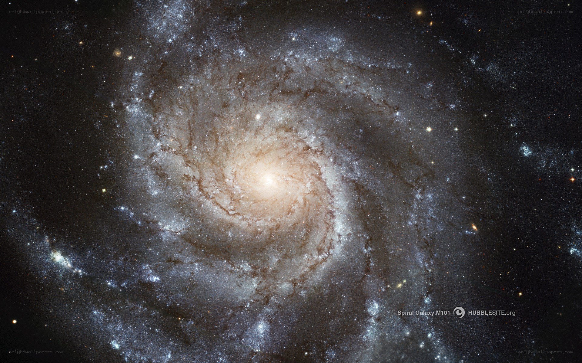 Spiral Galaxy M101