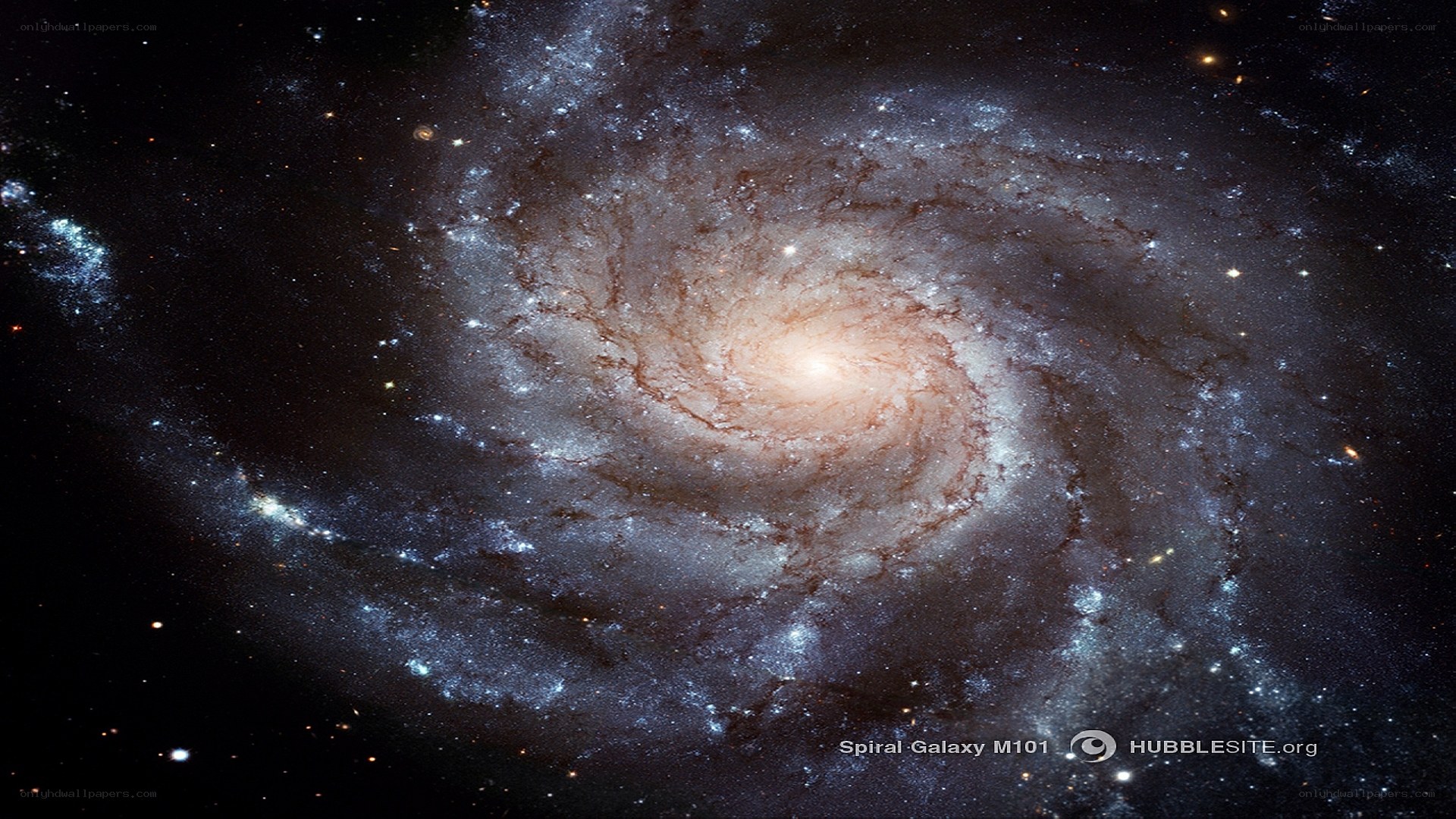 Spiral Galaxy M101