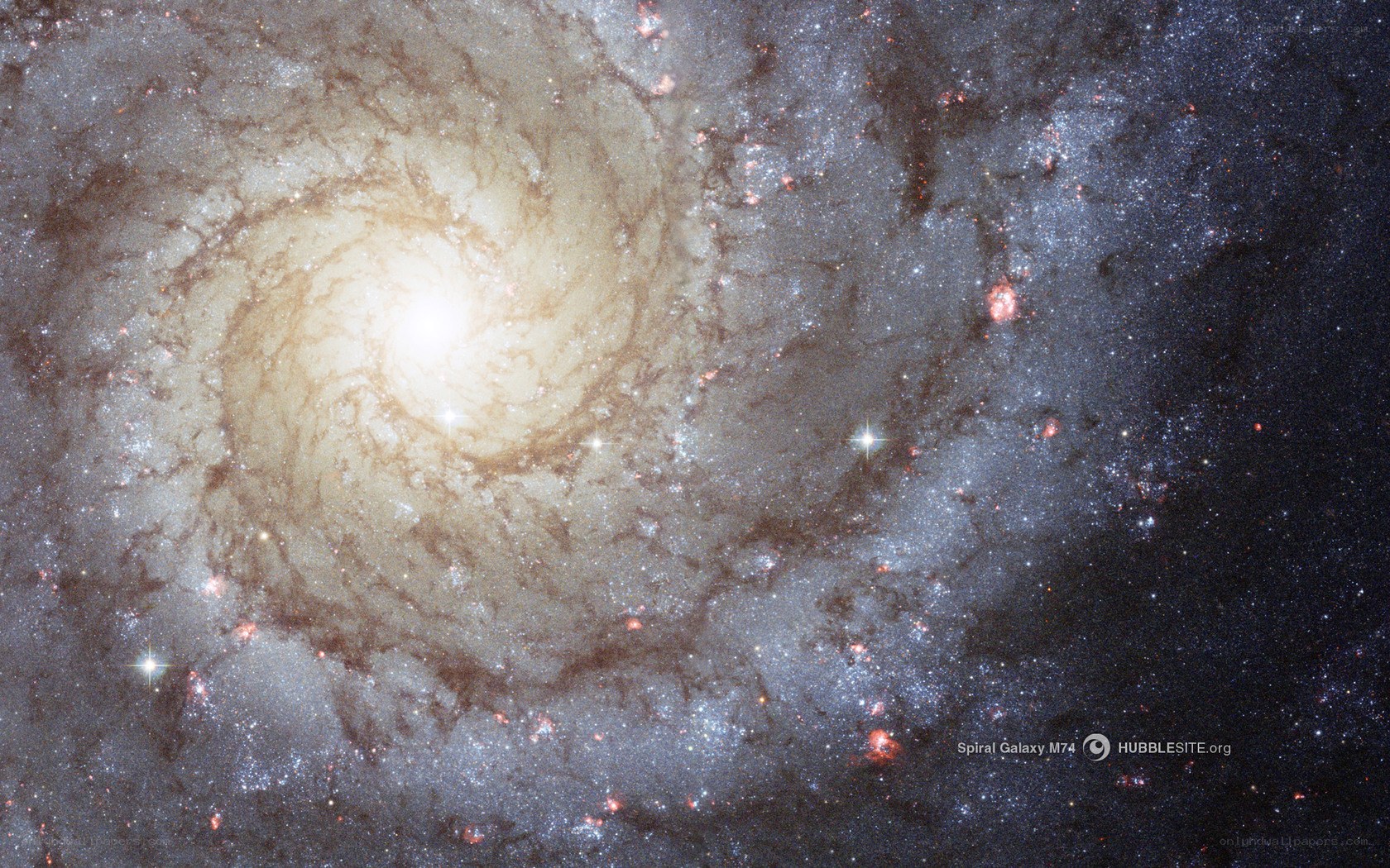 Spiral Galaxy M74