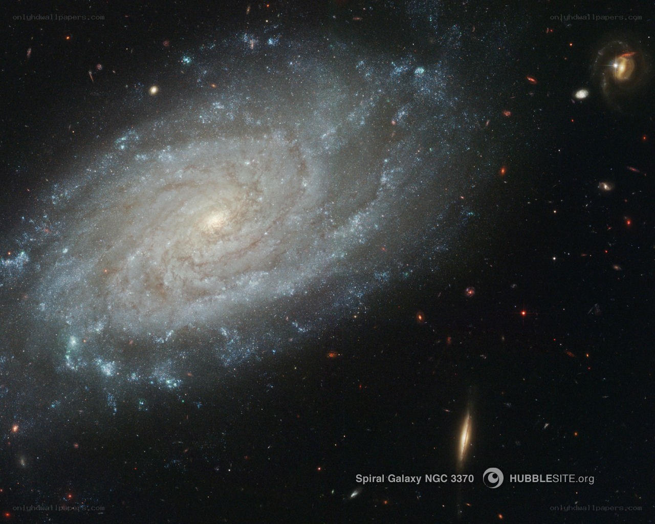 Spiral Galaxy NGC 3370
