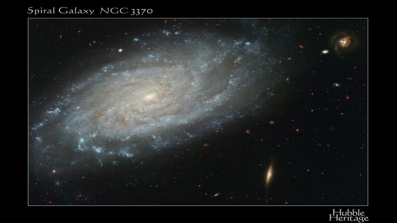 Spiral Galaxy NGC 3370 — Black, Cosmic