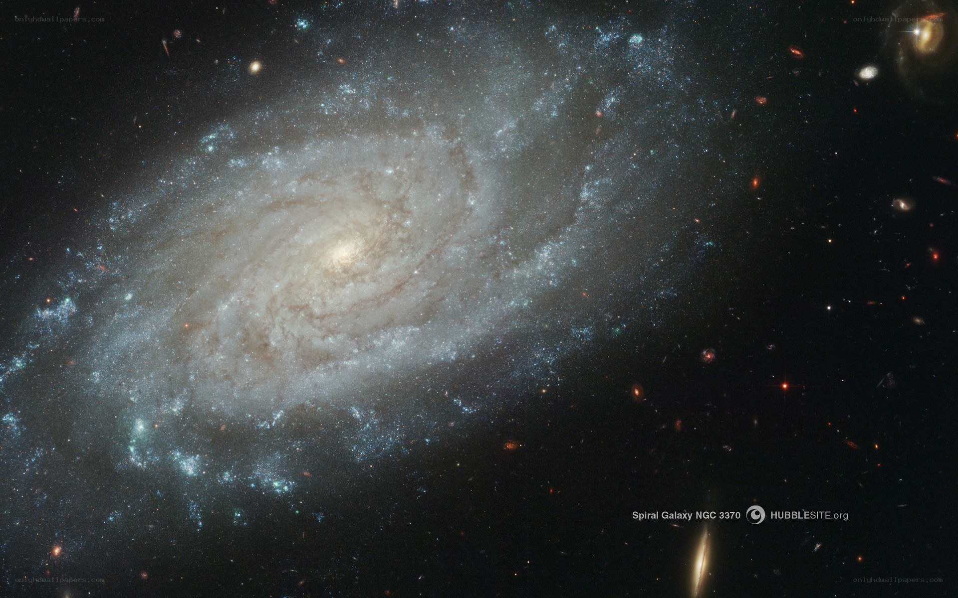 Spiral Galaxy NGC 3370