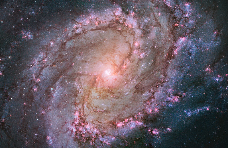 Spiral Galaxy — Pink