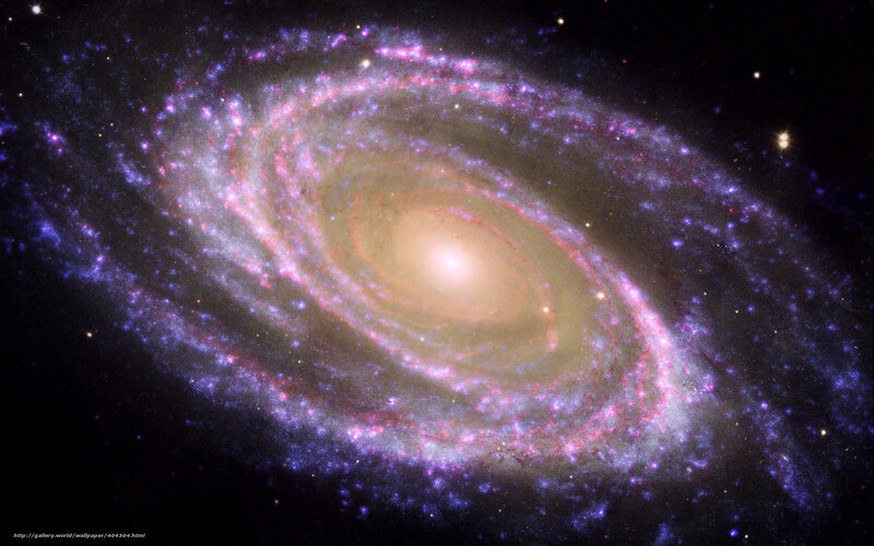 Spiral Galaxy — Purple, Cosmic, Night, Photograph, Stars, Nebulae