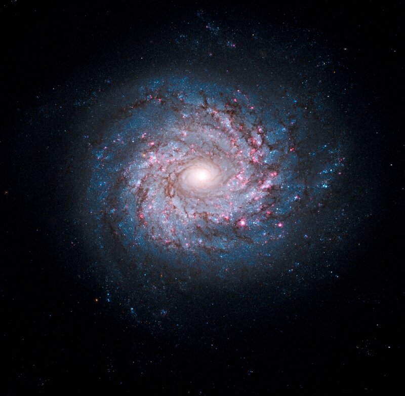 Spiral Galaxy
