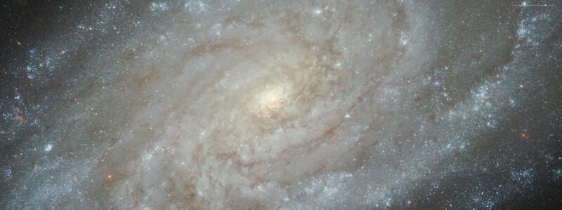 Spiral Galaxy — White, Cosmic, Photograph, Stars, Dust, Gas, Gray