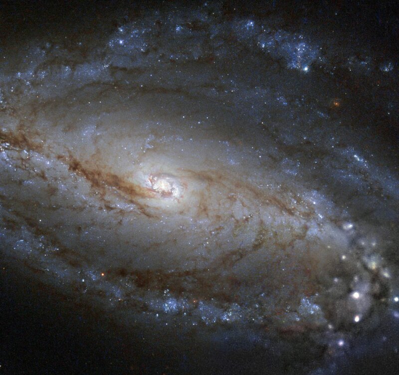 Spiral Galaxy — White, Cosmic, Photograph, Stars, Dust Lanes