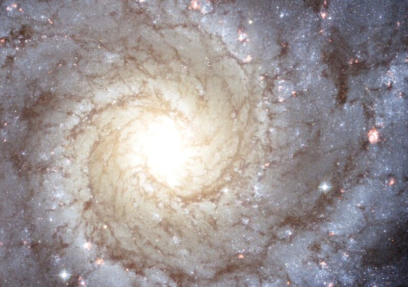 Spiral Galaxy — White, Cosmic, Photograph, Stars, Nebula, Dust, Gray