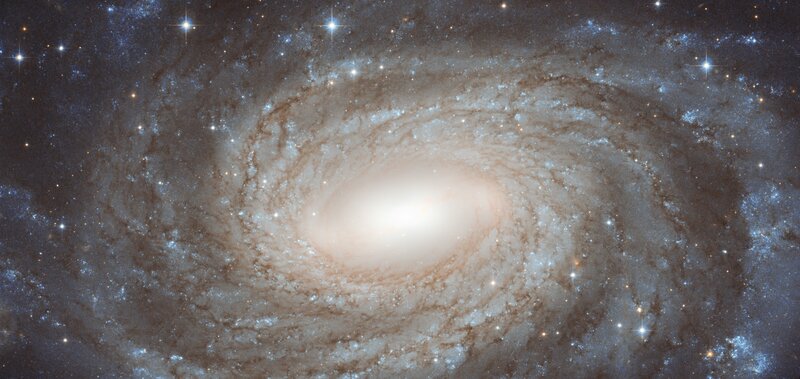Spiral Galaxy — White, Cosmic, Photograph, Stars, Nebula, Space, Blue, Brown